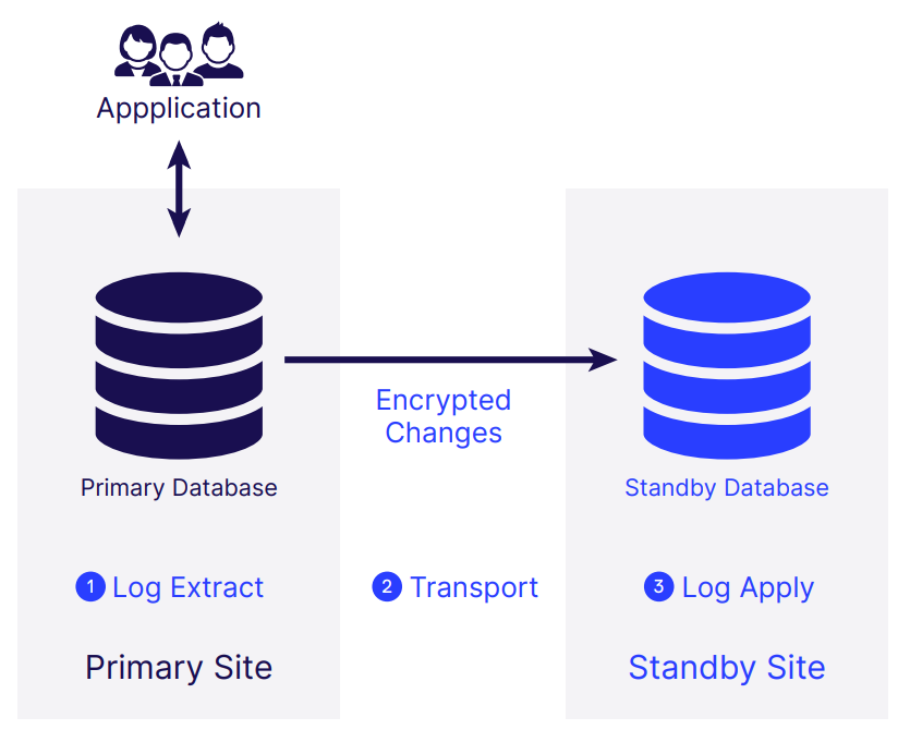 standbymp-database-dbvisit